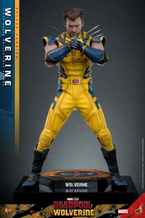 Wolverine deluxe Hot Toys Deadpool & Wolverine Action Figure 1/6