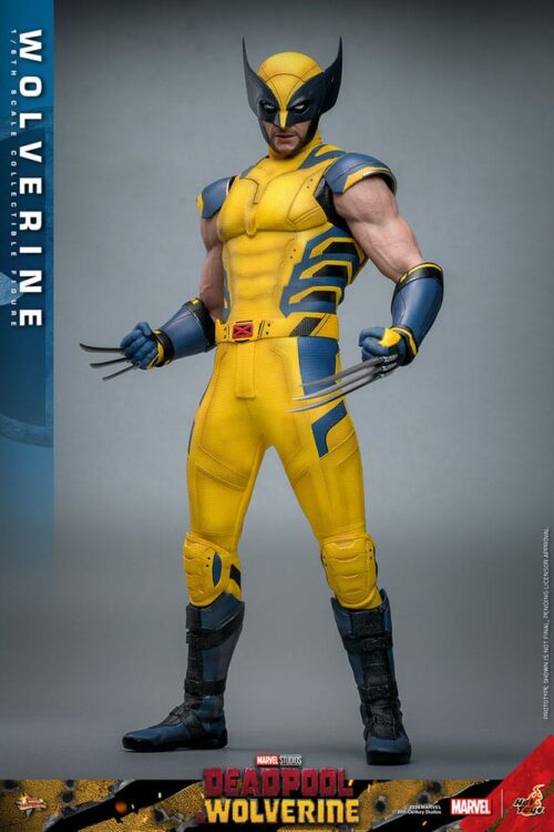 Deadpool Wolverine Hot Toys Movie Masterpiece Action Figure 1/6