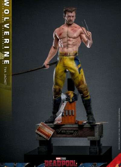 Deadpool & Wolverine Movie Masterpiece Action Figure 1/6 Wolverine (TVA Jacket Version) 31 cm