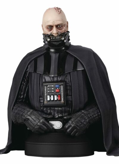 Star Wars Episode VI Bust 1/6 Darth Vader (unhelmeted) 15 cm Diamond Select