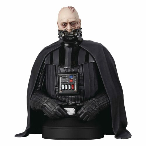 Star Wars Episode VI Bust 1/6 Darth Vader (unhelmeted) 15 cm Diamond Select